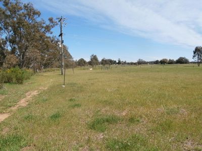 68 Richmond Plains-Wedderburn Road, Wedderburn