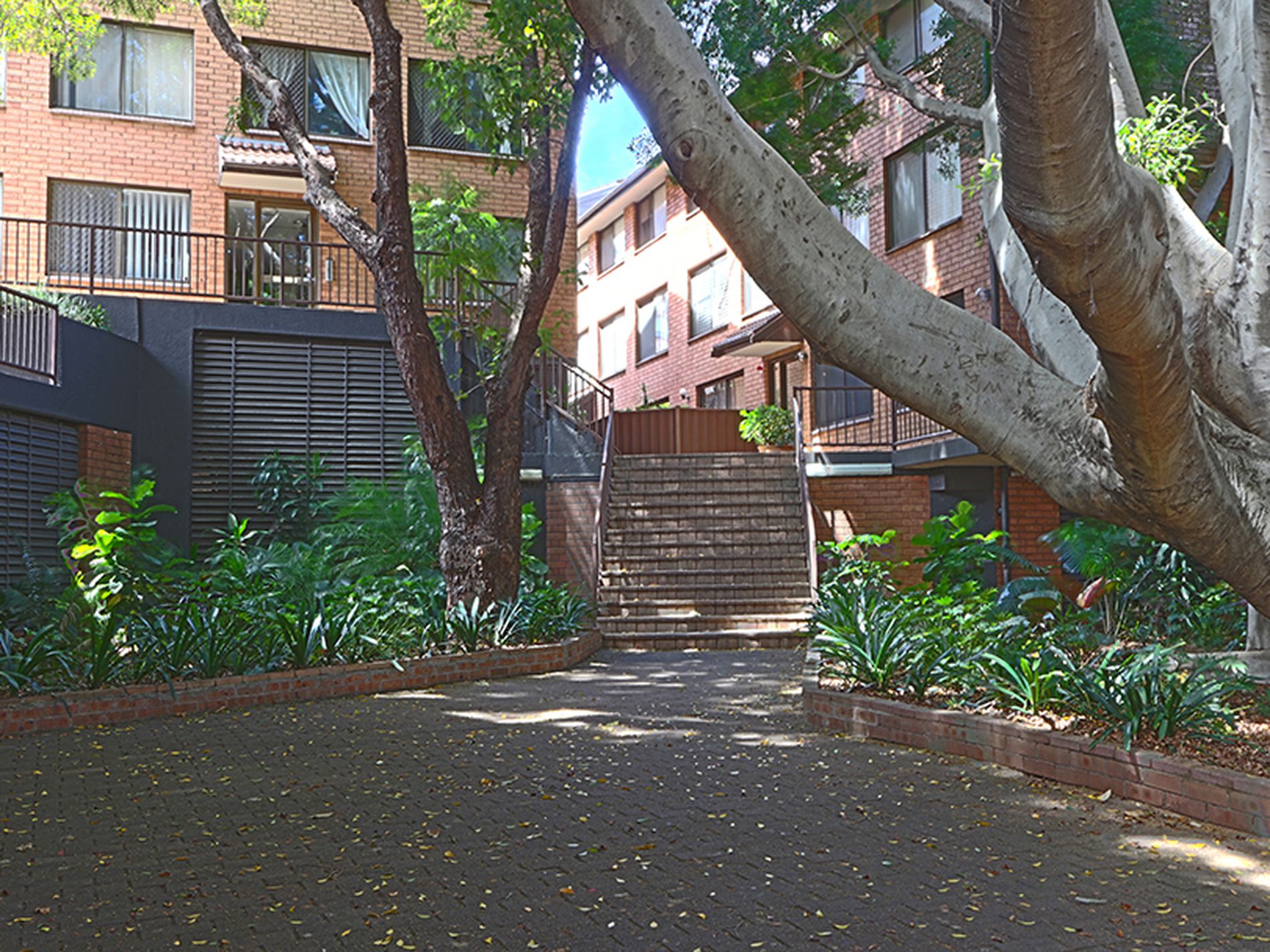 59 / 492-500 Elizabeth Street, Surry Hills