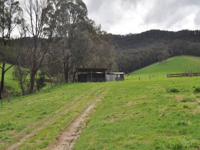 Bullhead Road, Mitta Mitta