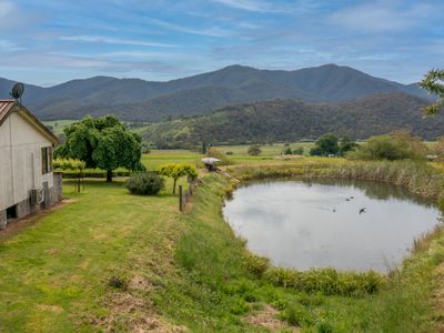 6109 Kiewa Valley Highway, Coral Bank