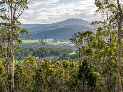 Lot 23 Turn Creek Road, Grove