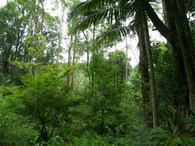 247 Huonbrook Road, Huonbrook