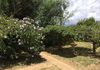 72 Shadforth Drive, Shadforth