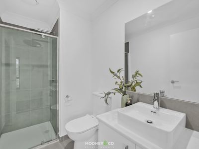 21 Delosperma Mews, Clyde
