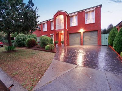 20 Pallidus Way, Narre Warren