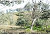 23 Tolga Road, Wellington