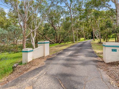 38 Carradine Road, Mount Nasura