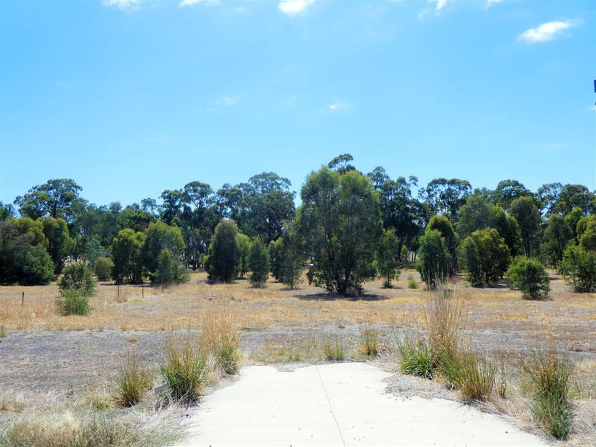 5 Bush Pea Dr, Seymour