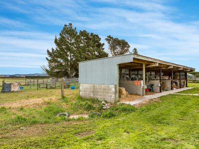 856 Rangiora Leithfield Road, Amberley