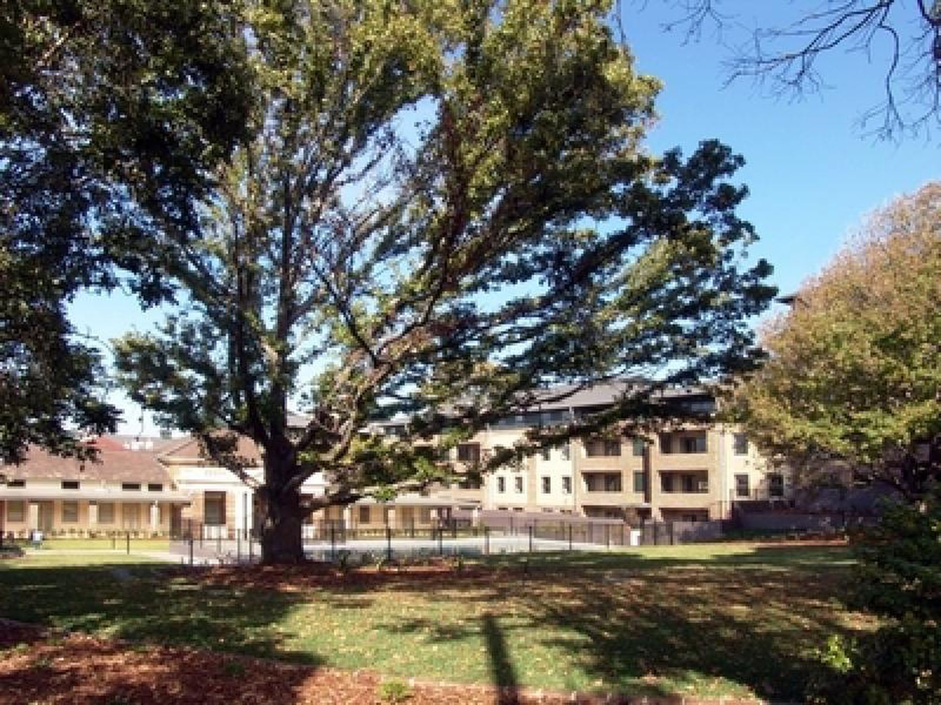 12 / 1-3 Coronation Avenue, Petersham
