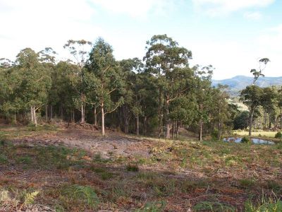 146 Misty Hill Road, Mountain River
