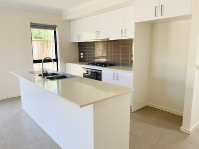 18 Seedgrass Street, Point Cook