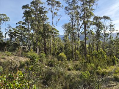 77 Grovenor Rise, Grove