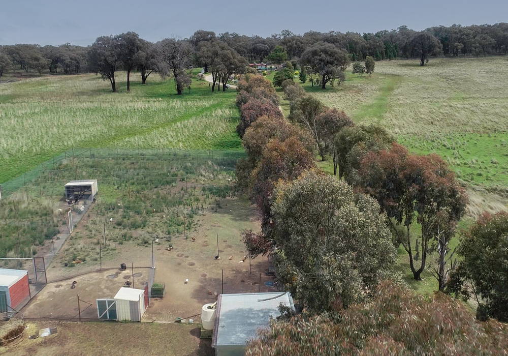 823 Peabody Road, Molong