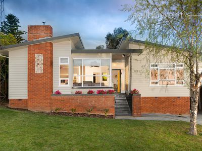 387 ALANA STREET, Albury