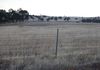 295 Maitland Road, Kokeby