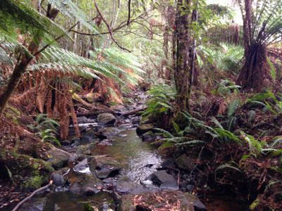 Lot 1, Harwoods Road, Castle Forbes Bay