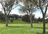 * Burrendong Way, Orange