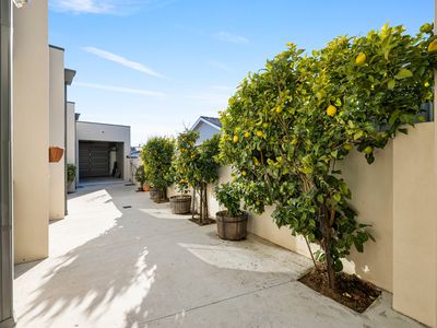 4 Crowther Place, Curtin