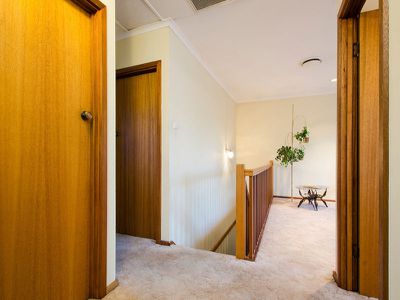 28 Elizabeth Street, Torrensville