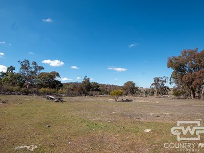 Lot 10 & 12, - Gulf Road, Emmaville