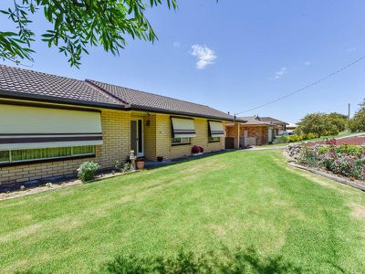 11 Hutchesson Street, Millicent