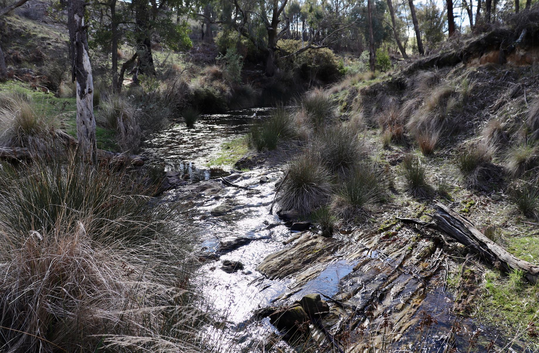 Lot 13, 13A, 13B, 31A &, 31C BRIDGE ROAD, Grenville