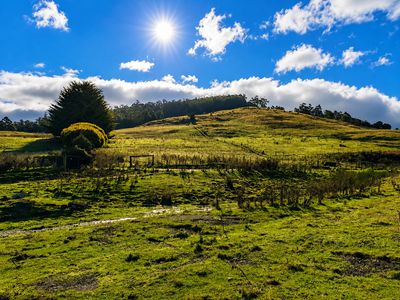 160 Coal Mine Road, Kaoota