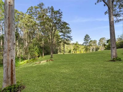 319 Mount Beerwah Road, Glass House Mountains