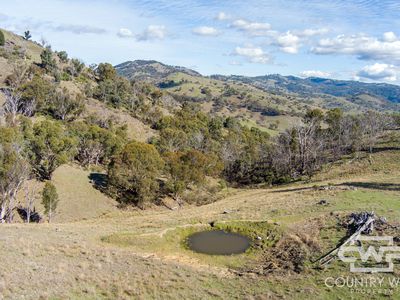 Lot 21 Halls Creek Road, Bendemeer