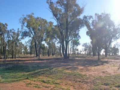 Lot 39 Lot 39 Ballindoch Place, Dubbo