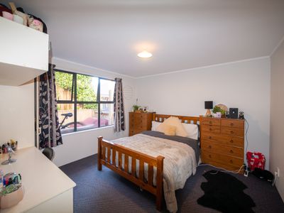 787C George Street, North Dunedin