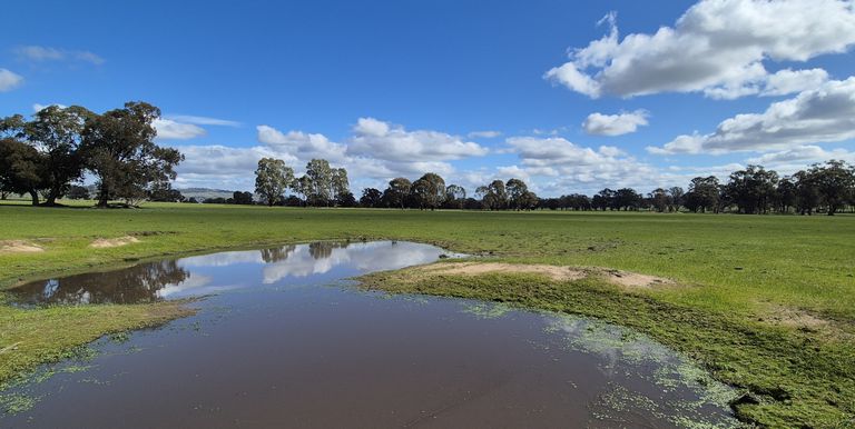 Lot 1  10 Dunnings Road, Balmattum