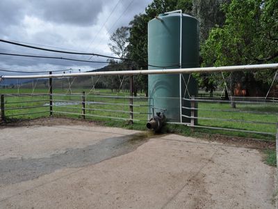 4251 Omeo Highway, Eskdale
