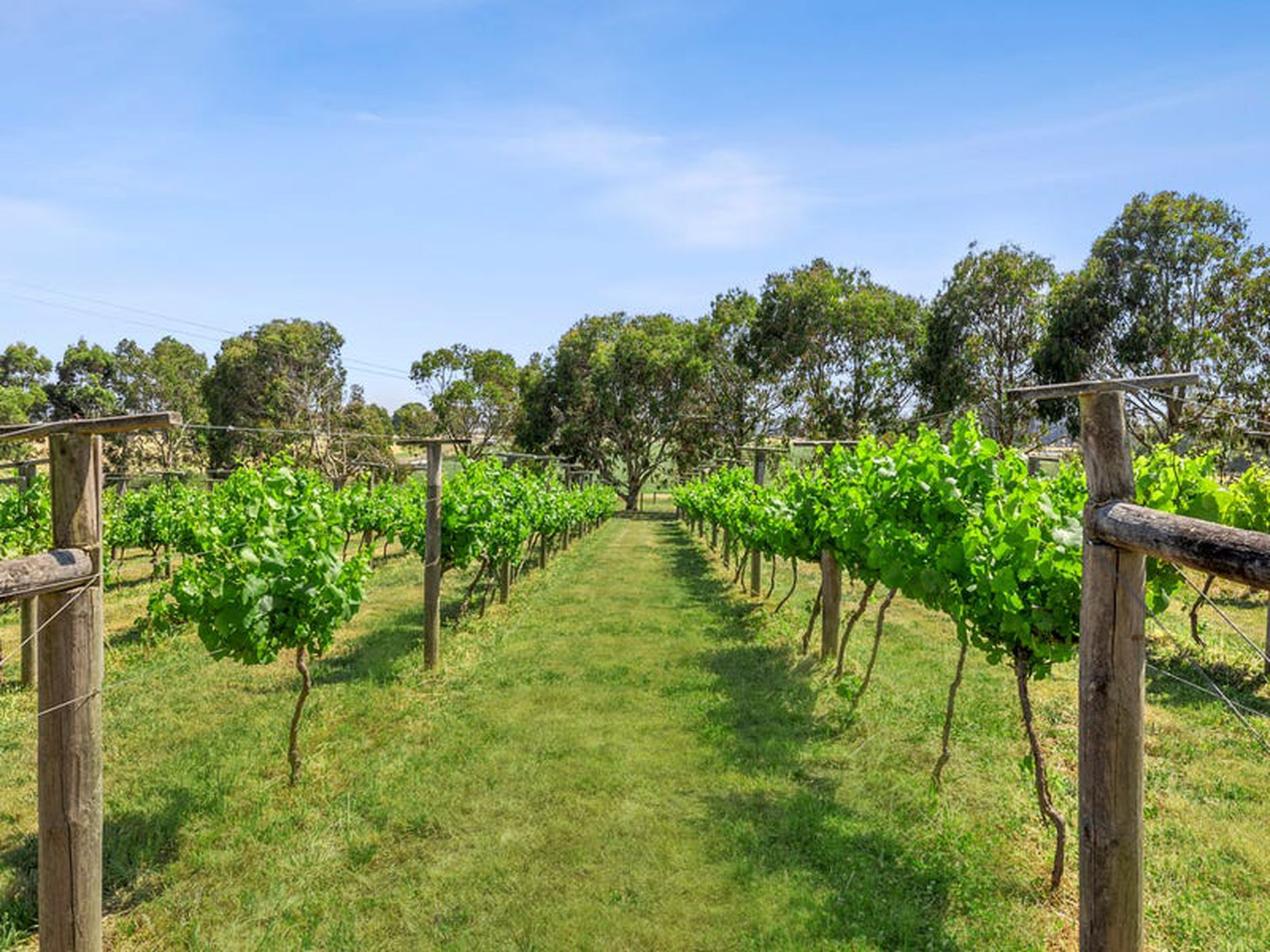 254 Newtons Lane, Trentham