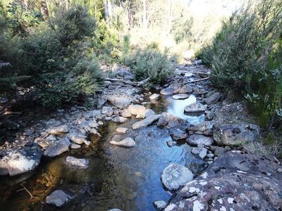Lot 1, 100 Crosswells Road, Pelverata