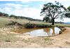 Lot 100 Emu Swamp Road, Orange