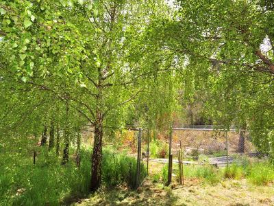 Garden Island Creek
