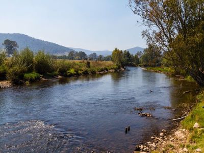 3709 Omeo Highway, Eskdale