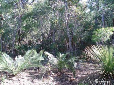Lot 265, 74 Dalton Way, Molloy Island