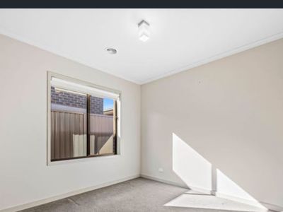 53 Daly Drive, Lucas