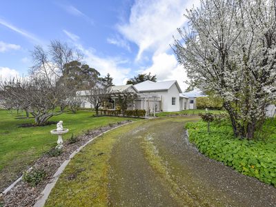 1 Oberlander Street, Millicent