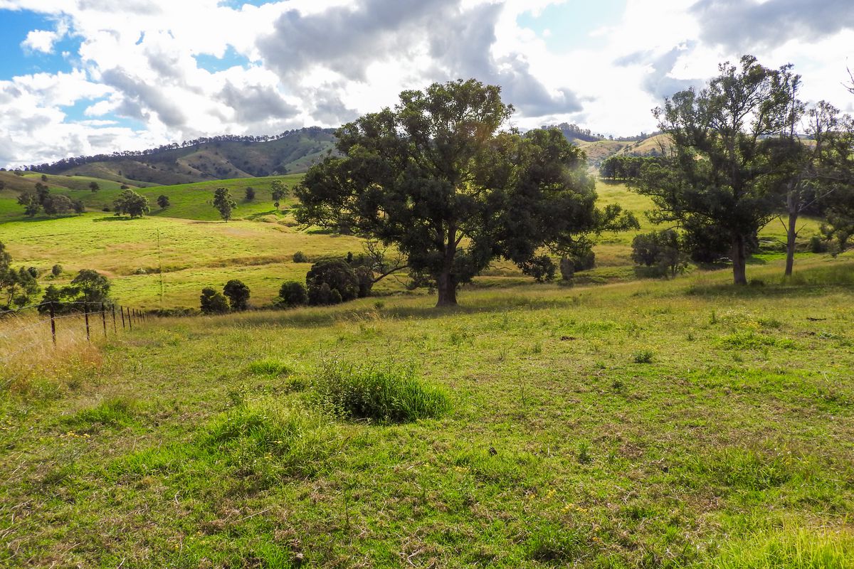 678 Bunyah Road, Coolongolook