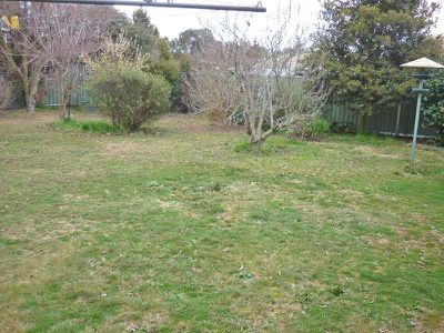 4 Sturt Street, Blayney