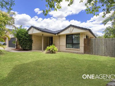 1 Merganser Pl, Forest Lake