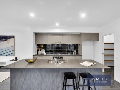 41 Matheson Avenue, Wyndham Vale