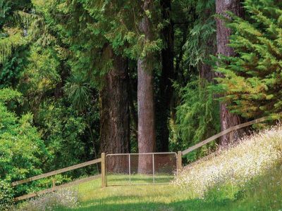 239 Alton Road, Mount Macedon