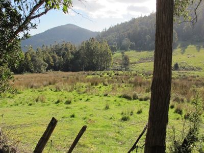 Halls Track Road, Pelverata