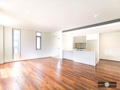 407 / 119 Ross Street, Glebe