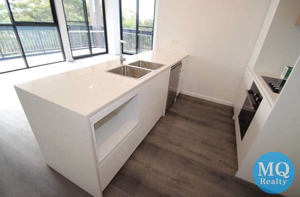 509 / 11 RAPHAEL STREET, Lidcombe